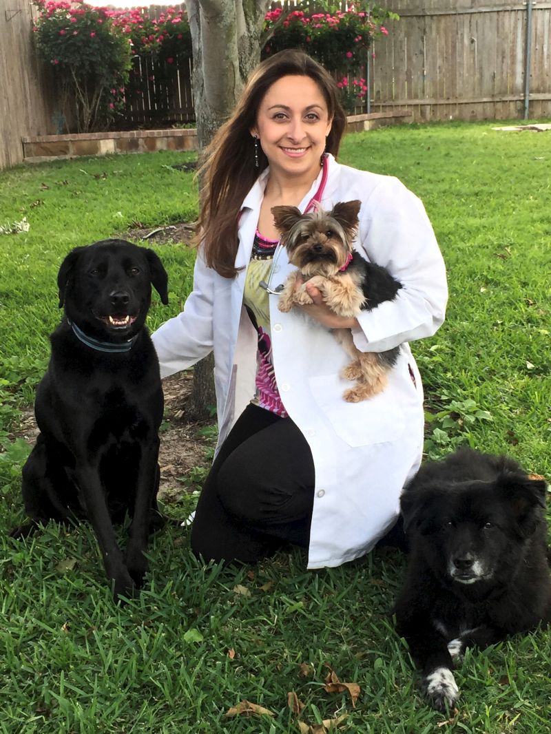 Dr. Lindborg, Veterinarian